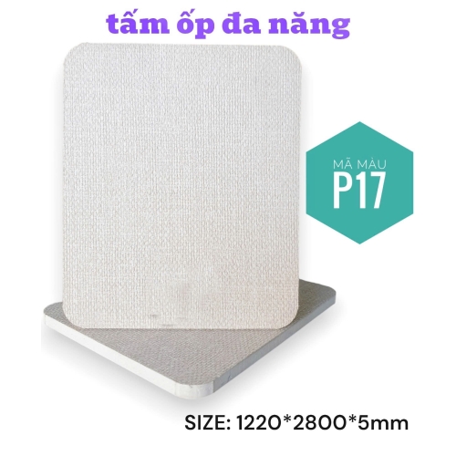 Tấm ốp đa năng P17